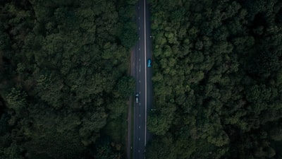 鸟瞰图的道路被树木包围着
